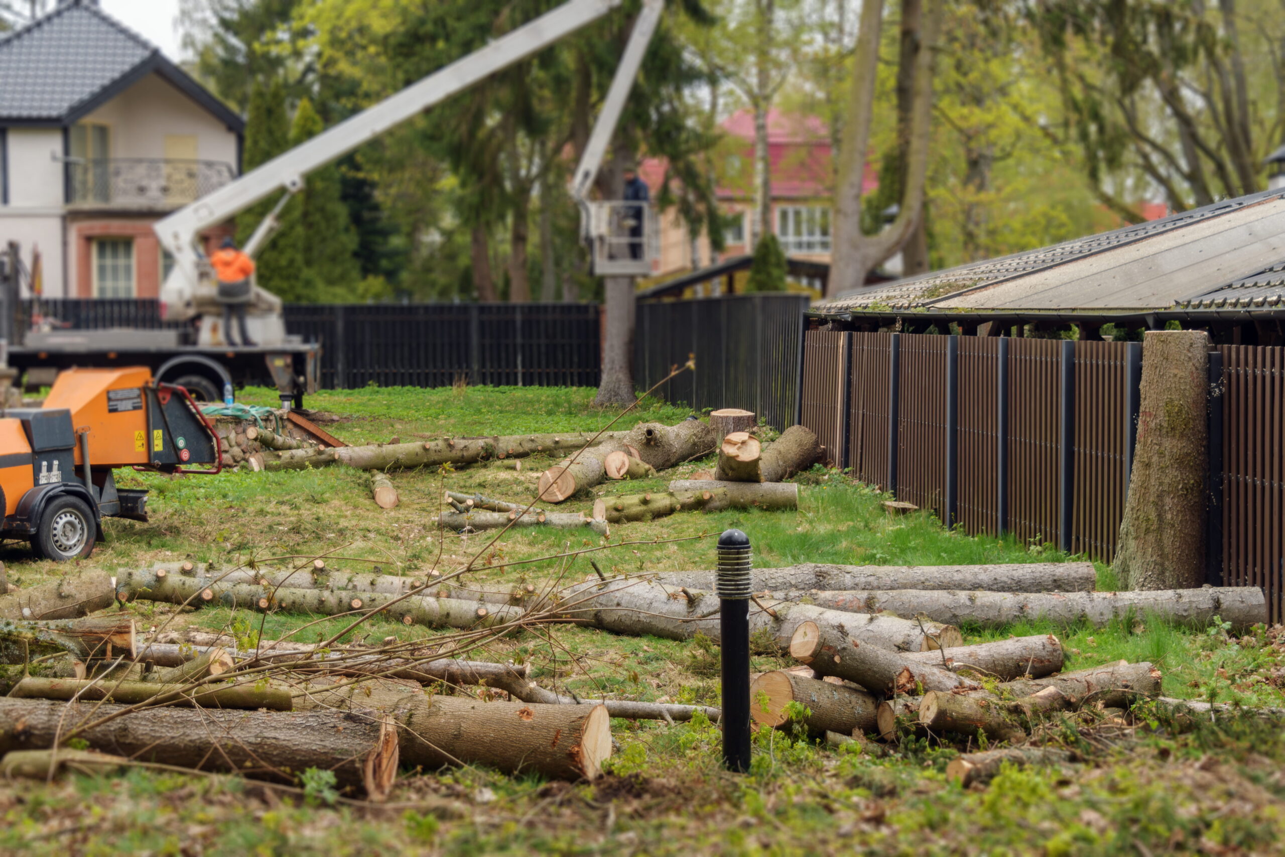 Innovation R Tree Service LLC (2)