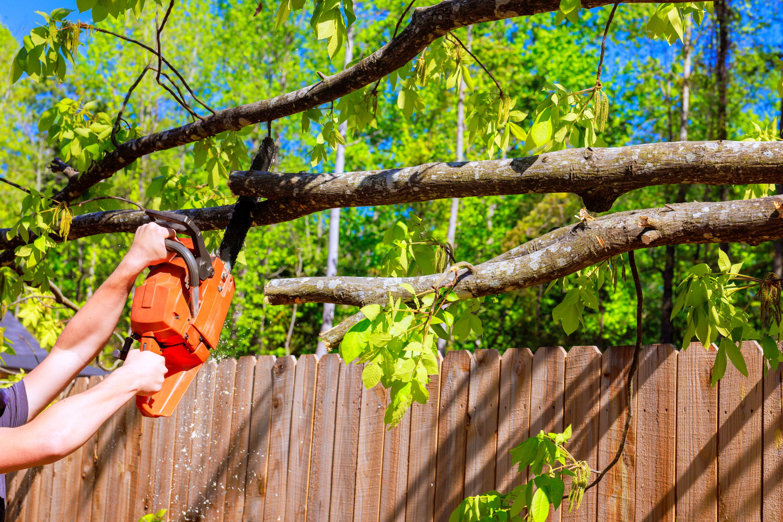 Innovation R Tree Service LLC (28)