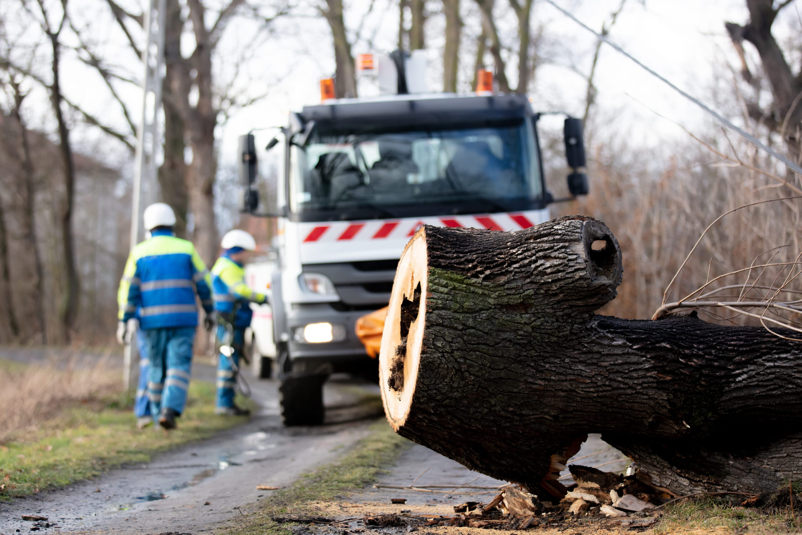 Innovation R Tree Service LLC (7)